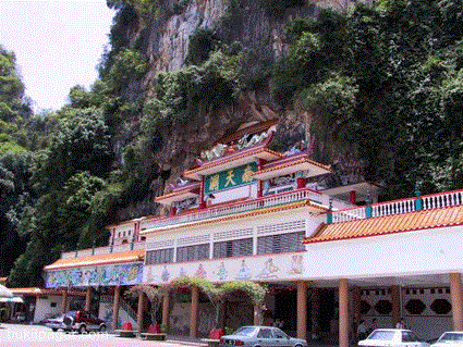 ecosystem food chain, rainforest food chains for kids. ecosystem food chain,